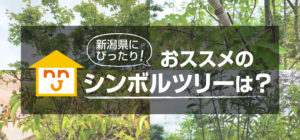 新潟県でおススメのシンボルツリーは？
